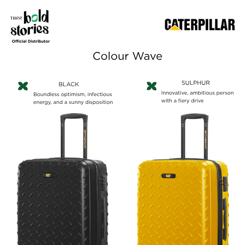 Industrial Plate Luggage (Medium)