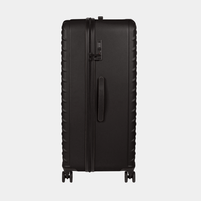 Cat Cargo - Industrial Plate Trunk (Large)
