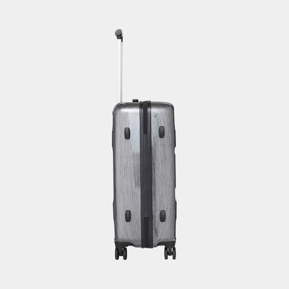 Cat-D 2.0 Luggage (Medium)