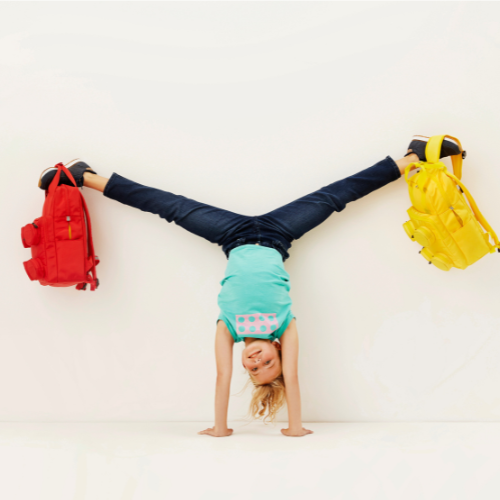 Signature Brick 2x2 Backpack